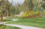 bp-nice-path